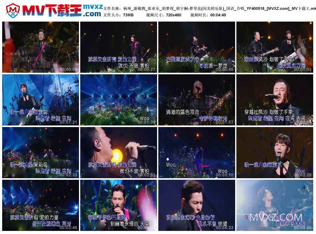 杨坤_萧敬腾_张亚东_胡梦周_胡宇桐-梦里花(闪光的乐队)_国语_合唱_YF400518